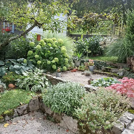 Siegrid 克里斯蒙斯特